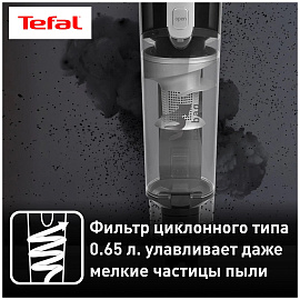 Пылесос Tefal TY6545RH