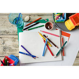 Карандаши цветные BIC Kids Evolution 12 карандашей 12 цветов трёхгранные (утолщённые)