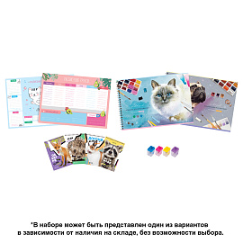 Набор первоклассника ArtSpace, универсальный, в подарочном коробе, 32 предмета