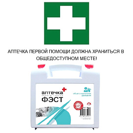 Аптечка первой помощи офисная АОН ФЭСТ (бокс пластиковый)