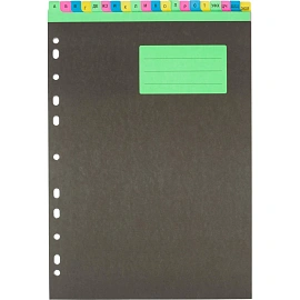 Разделитель листов Attache Selection А4 картонный 20 листов (алфавитный)