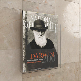 Карман настенный A4 вертикальный (249x224 мм) из пластика Attache (2 штуки в упаковке)