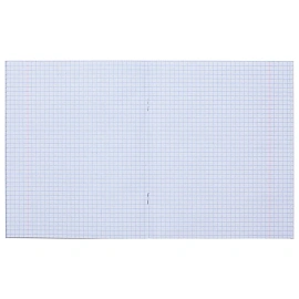 Бизнес-тетрадь Hatber Metallic А5 48 листов золотистая в клетку на скрепке (148x210 мм)