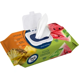 Салфетки влажные Emily Style Tropic освежающие флоупак с жёстким клапаном (120 листов в пачке)