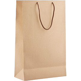 Пакет подарочный Проект 111 Крафт (35x23x10 см)