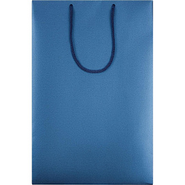 Пакет подарочный Проект 111 Блеск (35x23x10 см, 5867.40)