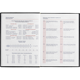 Ежедневник недатированный Attache Каньон искусственная кожа А4 176 листов синий