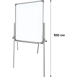 Флипчарт магнитно-маркерный/меловой BoardSYS 50x70 см на подставке