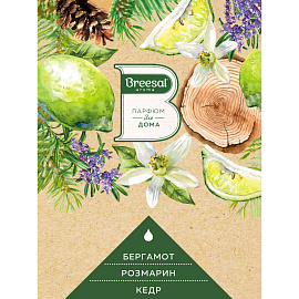 Аромадиффузор Breesal Жизненная энергия кедр/розмарин/бергамот 70 мл