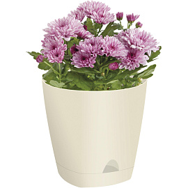 Горшок для цветов с поддоном InGreen Amsterdam 4 л сливочный (19x20 см)