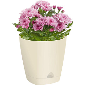 Горшок для цветов с поддоном InGreen Amsterdam 8 л сливочный (24.4x25 см)