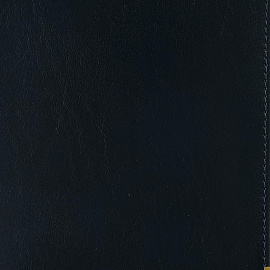 Ежедневник полудатированный Bruno Visconti Imperium натуральная кожа А5 208 листов синий (золотистый обрез)