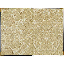 Ежедневник полудатированный Bruno Visconti Imperium натуральная кожа А5 208 листов синий (золотистый обрез)