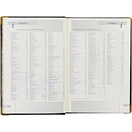 Ежедневник полудатированный Bruno Visconti Imperium натуральная кожа А5 208 листов синий (золотистый обрез)