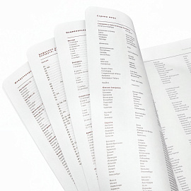 Ежедневник недатированный Bruno Visconti Mercury искусственная кожа A5 136 листов оранжевый (оранжевый обрез), 3-435/01