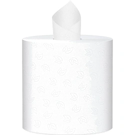 Полотенца бумажные рулонные с центральной вытяжкой PROtissue M4 2-слойные белые 6 рулонов по 150 метров (С224)