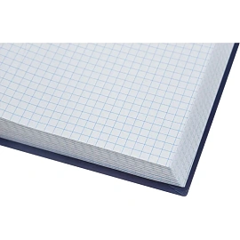 Книга учета 96 листов 210x265 мм в клетку на сшивке блок офсет Attache (обложка - бумвинил)