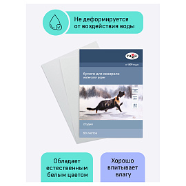 Папка для акварели, 50л., А4, Гамма "Студия", 200г/м2, среднее зерно фото Папка для акварели, 50л., А4, Гамма "Студия", 200г/м2, среднее зерно