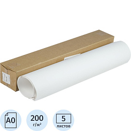 Ватман бумага чертежная Гознак А0 5 листов, размер 120x84 cм, 200 г/кв.м, белизна 91 фото Ватман бумага чертежная Гознак А0 5 листов, размер 120x84 cм, 200 г/кв.м, белизна 91