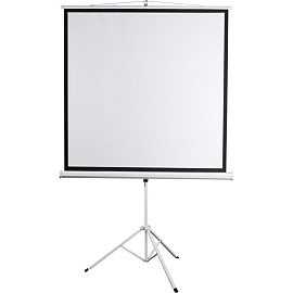 Экран для проектора Digis DSKD-4303 на штативе 200x150