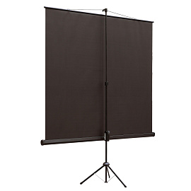 Экран для проектора Viewscreen Clamp 150x150 (TCL-1101) фото Экран для проектора Viewscreen Clamp 150x150 (TCL-1101)