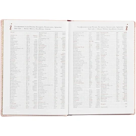 Ежедневник недатированный Attache Velvet искусственная кожа Soft Touch А5+ 136 листов светло-розовый