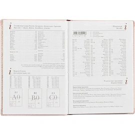 Ежедневник недатированный Attache Velvet искусственная кожа Soft Touch А5+ 136 листов светло-розовый