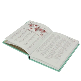 Ежедневник недатированный Attache Velvet искусственная кожа Soft Touch А5+ 136 листов мятный