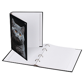 Тетрадь на кольцах А5, 160л., BG "Кот", глянцевая ламинация