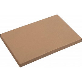 Папка-обложка ДЕЛО Выбор есть (Attache Economy) А4 20 мм немелованный картон до 200 листов (плотность 190-210 г/кв.м, 100 штук в упаковке)