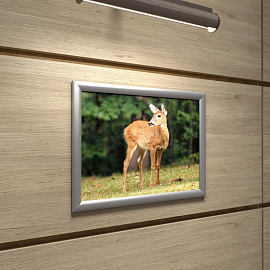 Рамка настенная с клик-профилем 25 мм формат А3 Attache серебристая фото Рамка настенная с клик-профилем 25 мм формат А3 Attache серебристая