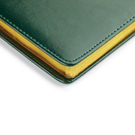 Ежедневник недатированный Альт Sidney Nebraska искусственная кожа A5 136 листов зеленый (золотистый обрез)