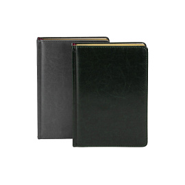 Ежедневник недатированный Альт Sidney Nebraska искусственная кожа A5 136 листов зеленый (золотистый обрез)