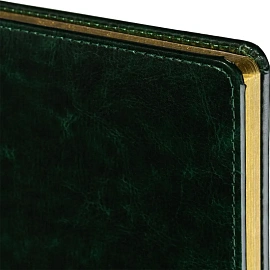 Ежедневник недатированный Альт Sidney Nebraska искусственная кожа A5 136 листов зеленый (золотистый обрез)