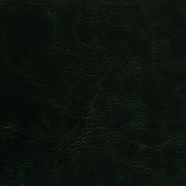 Ежедневник недатированный Альт Sidney Nebraska искусственная кожа A5 136 листов зеленый (золотистый обрез)