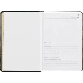 Ежедневник недатированный Альт Sidney Nebraska искусственная кожа A5 136 листов зеленый (золотистый обрез)