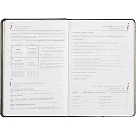 Ежедневник недатированный Альт Sidney Nebraska искусственная кожа A5 136 листов зеленый (золотистый обрез)