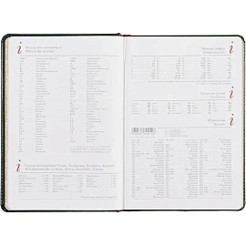 Ежедневник недатированный Альт Sidney Nebraska искусственная кожа A5 136 листов зеленый (золотистый обрез)