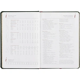 Ежедневник недатированный Альт Sidney Nebraska искусственная кожа A5 136 листов зеленый (золотистый обрез)