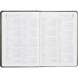 Ежедневник недатированный Альт Sidney Nebraska искусственная кожа A5 136 листов зеленый (золотистый обрез)