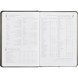 Ежедневник недатированный Альт Sidney Nebraska искусственная кожа A5 136 листов зеленый (золотистый обрез)