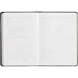 Ежедневник недатированный Альт Sidney Nebraska искусственная кожа A5 136 листов зеленый (золотистый обрез)