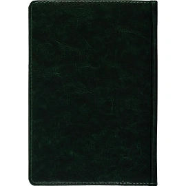 Ежедневник недатированный Альт Sidney Nebraska искусственная кожа A5 136 листов зеленый (золотистый обрез)