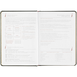 Ежедневник недатированный Attache Sidney Nebraska искусственная кожа A5 136 листов серый (золотистый обрез) фото Ежедневник недатированный Attache Sidney Nebraska искусственная кожа A5 136 листов серый (золотистый обрез)