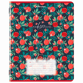 Тетрадь 18 л. BRAUBERG, клетка, обложка картон, ГРАНАТ, 107296