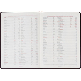 Ежедневник недатированный Bruno Visconti Leggenda искусственная кожа В5 136 листов коричневый с фиксирующей резинкой (коричневый обрез), 3-514/05