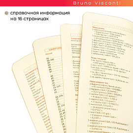 Ежедневник недатированный Bruno Visconti Leggenda искусственная кожа В5 136 листов коричневый с фиксирующей резинкой (коричневый обрез), 3-514/05