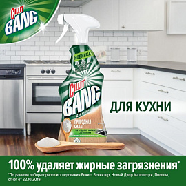 Чистящее средство для кухни Cillit Bang 0.45 л от жира и нагара спрей для стеклокерамики фото Чистящее средство для кухни Cillit Bang 0.45 л от жира и нагара спрей для стеклокерамики