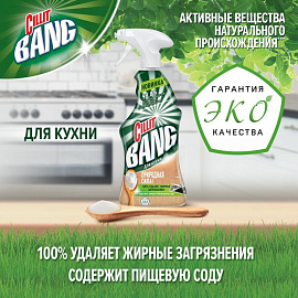 Чистящее средство для кухни Cillit Bang 0.45 л от жира и нагара спрей для стеклокерамики фото Чистящее средство для кухни Cillit Bang 0.45 л от жира и нагара спрей для стеклокерамики
