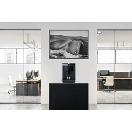 Кофемашина SAECO NEW ROYAL BLACK 230/50 черная